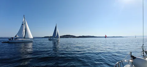 Fra Fotokonkurranse 2024 - med bildenummer