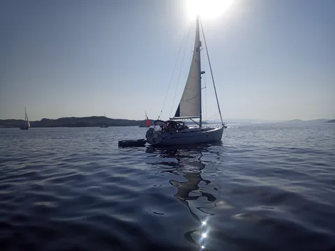 Fra Fotokonkurranse 2024 - med bildenummer