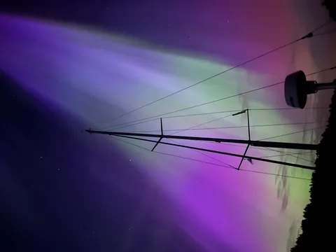 Fra Fotokonkurranse 2024 - med bildenummer