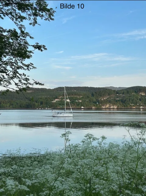 Fra Fotokonkurranse 2025